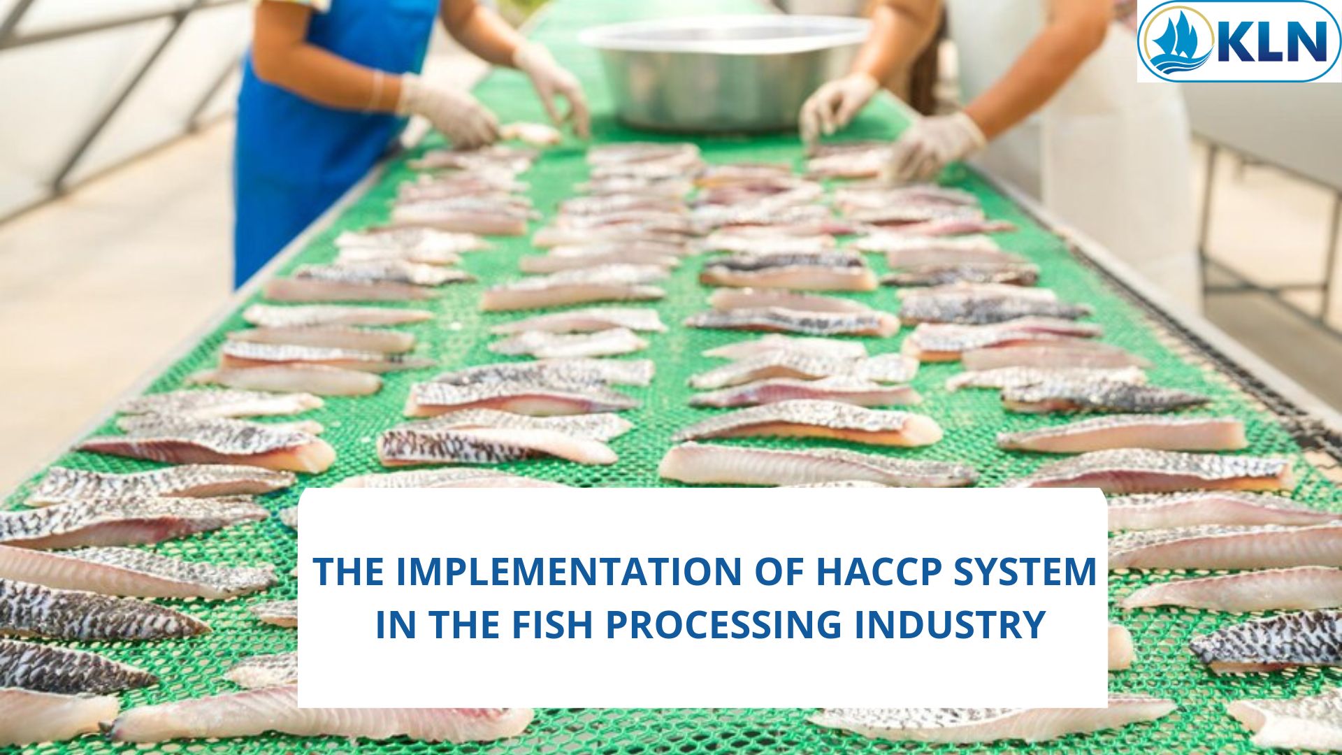 THE IMPLEMENTATION OF HACCP SYSTEM IN THE FISH PROCESSING INDUSTRY